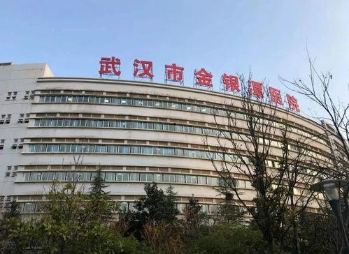 金银潭实拍80天,战“疫”一线的生死坚守