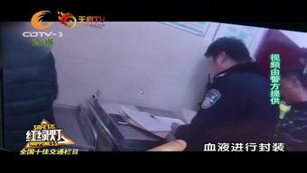 偷天换日（国语版）